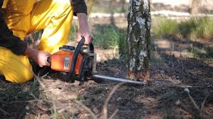 Best Lawn Irrigation Installation and Maintenance  in Le Roy, IL