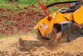 Best Tree Health Inspection  in Le Roy, IL
